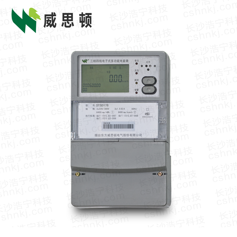 烟台威思顿DTSD178三相多功能电能表（南网）