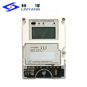江苏林洋DJGL33-TLY2230集中器(II型)