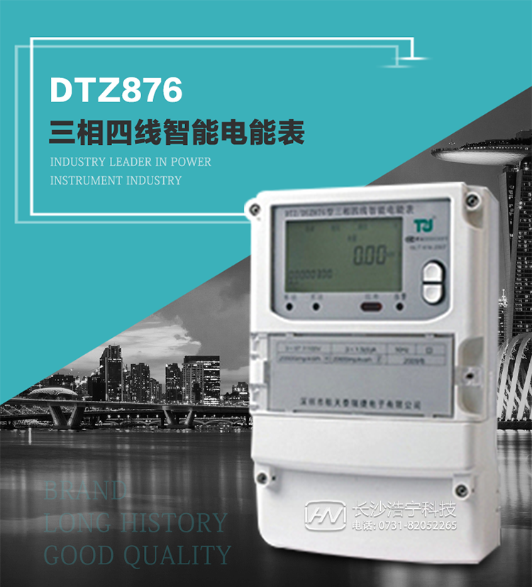 DTZ876型智能电能表是采用大规模集成电路，应用数字采样处理技术及SMT工艺，根据工业用户实际用电状况所设计制造的具有现代先进水平的仪表。
该表性能指标符合GB/T 17215.321-2008《交流电测量设备 特殊要求》第21部分静止式有功电能表（1级和2级）、GB/T 17215.322-2008《交流电测量设备 特殊要求》第22部分静止式有功电能表（0.2S级和0.5S级）国家标准和DL/T 614–2007《多功能电能表》标准，其通信符合DL/T645–2007《多功能电能表通信协议》的要求，并兼容DL/T645–1997《多功能表通信规约》的要求，可根据功能定制需求符合多功能电能表的各项技术要求。