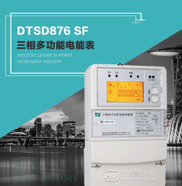 产品型号：DTSD876 SF型 三相多功能电能表
精度等级：有功0.5级 1级；无功2级 
额定电压： 3×100V 3×57.7/100V 3×220/380V 
额定电流： 1.5(6)A 5(20)A 10(40)A 15(60)A 20(80)A 30(100)A 
频 率： -40℃～+70℃ 
工作温度：≤0.5S 
显示方式： ≥1000mAh 
整机功耗： ≥10年 
重量： 约2.4kg 
外形尺寸： 293mm×175mm×80mm