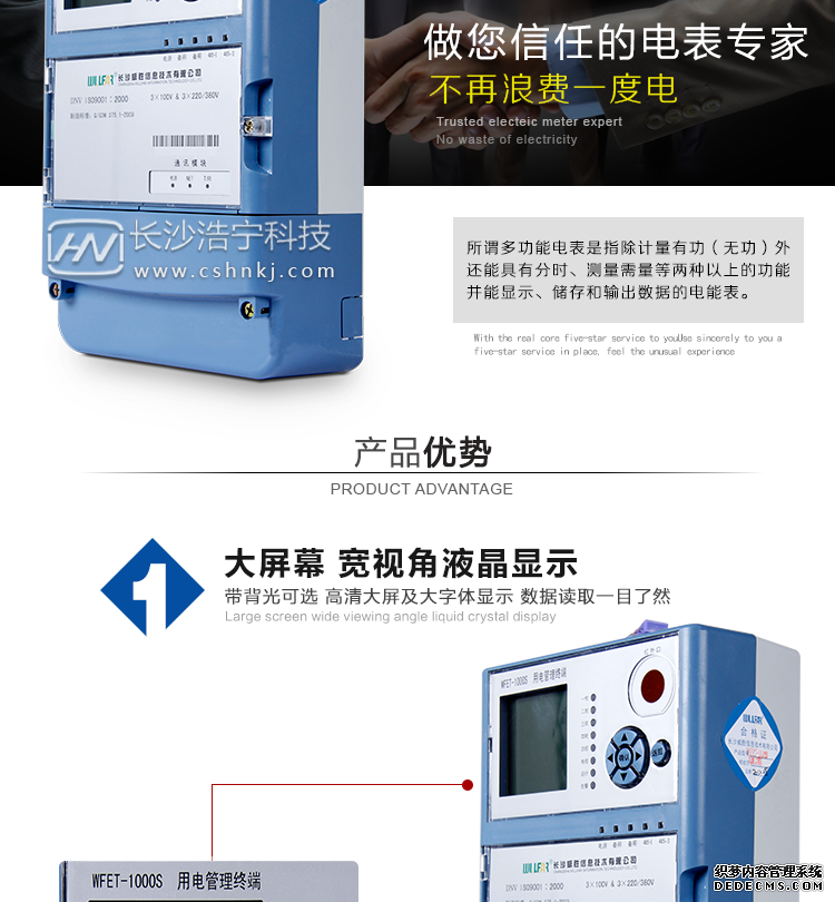 威胜WFET-1000SFT管理终端